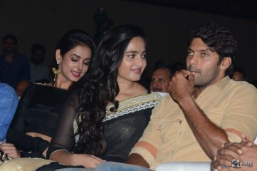 Size Zero Movie Audio Launch